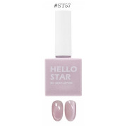 GENTLE PINK 貓眼 Gel 甲油 ST57